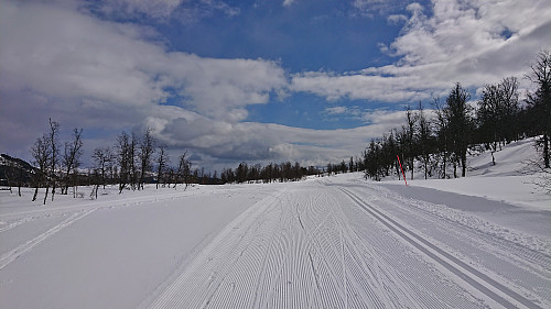 The ski trails at Hodlekve