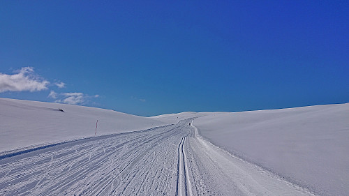 Ski trail to Høgehaug