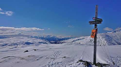 Høgehaug