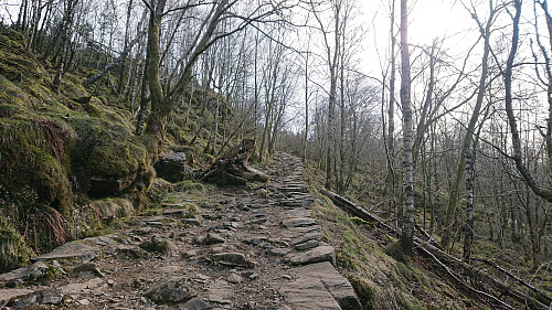 The old road from the parking lot