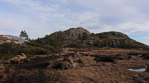 Approaching the summit
