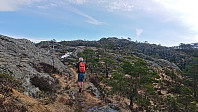 Approaching the summit of Veten