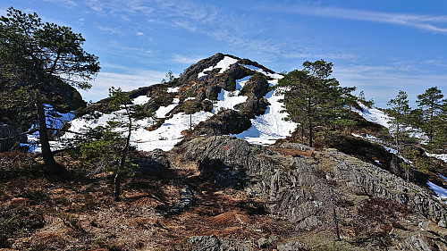 Ascending to the summit ridge