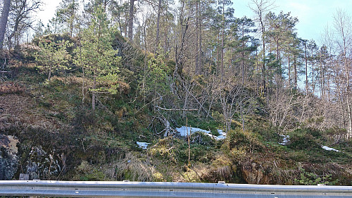 The start of our ascent to the summit of Bygdaåsen