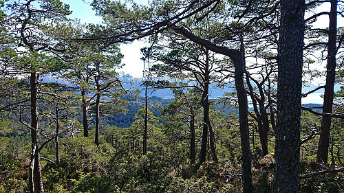 The rather limited views from Bygdaåsen