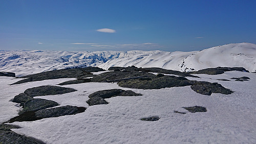 The fallen trig marker at Trollahorgi (not at the highest point)