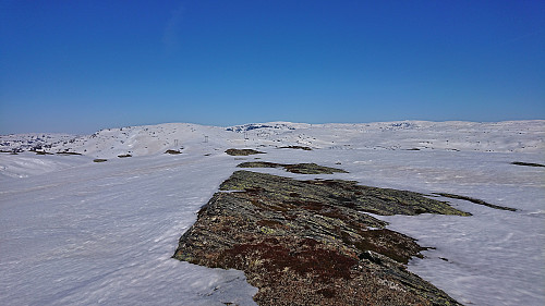 The highest point at SV av Hundeggi