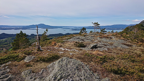 The summit of Målefjell with Siggjo in the background