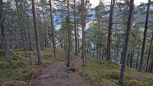 Bike trail followed for the descent