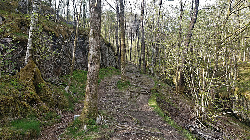 The start of the marked trail to Fjordsyn