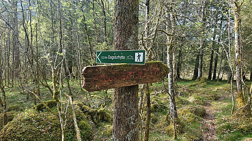 Old vs. new signs :)