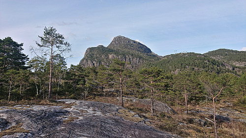 Looking up at Storafjellet from just south of Fjordsyn