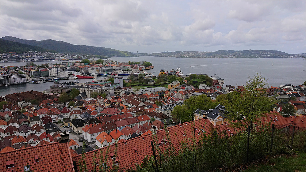 View towards Nordnes from Fjellveien