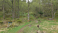 Steingilshøgda trailhead