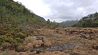 Wet trails north of Steingilshøgda