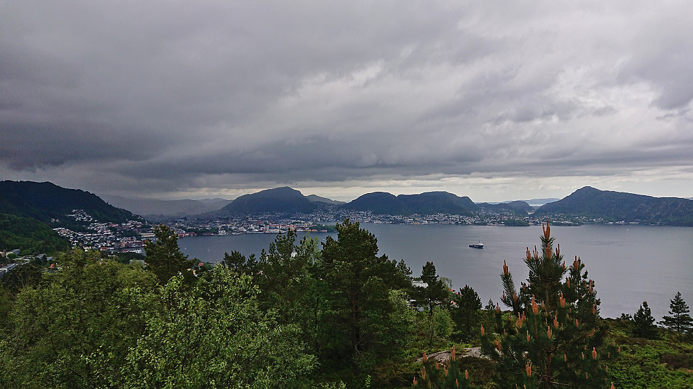 Towards the Bergen city center from Ørneberget
