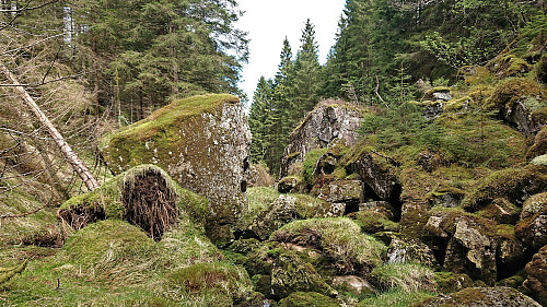 Back among the large rocks along the small stream in Norddalen