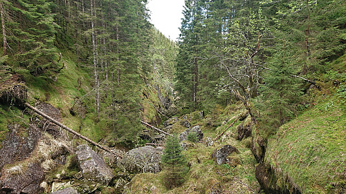 Following the small stream northeast