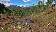 Logging area in Grindadalen