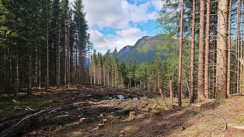 Tractor road to Froastad from northwest of Økterberg