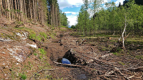 Tractor road west of Økterberg with Folgefonna in the background