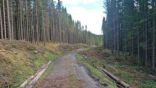 Tractor road north/northwest of the summit of Melstveitåsen