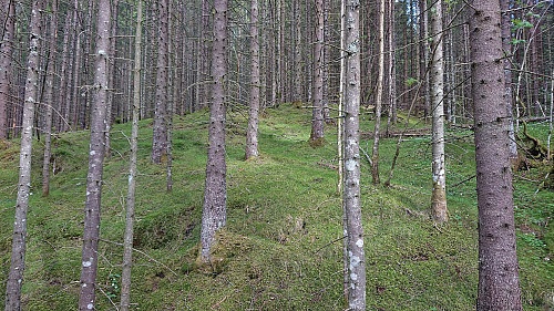 Off-trail to the summit of Melstveitåsen