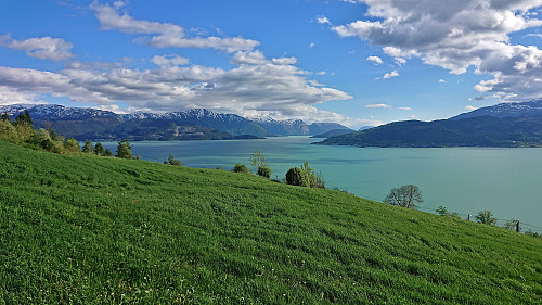 Hardangerfjorden from the descent