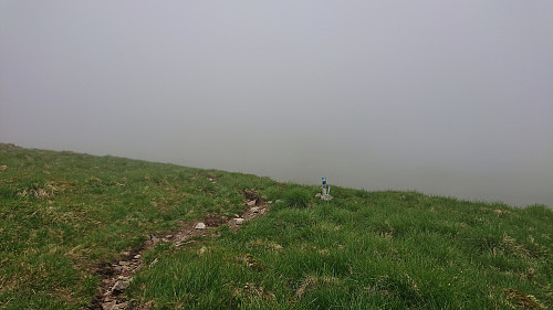 Following the Rett Vest route down from Livarden