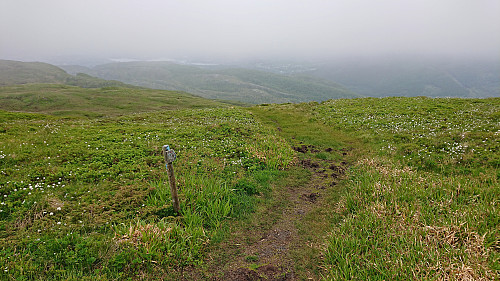 Following the Rett Vest route down from Livarden