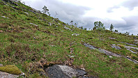 Trail to Skåpet