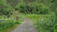 Tractor road at the trailhead