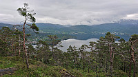 Haukanesodden from the ascent