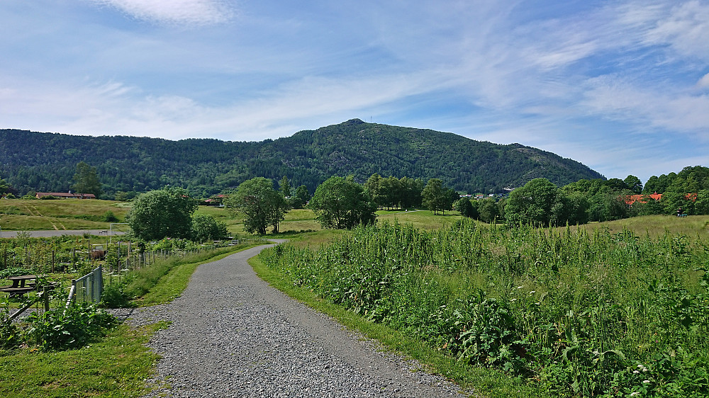Løvstakken from Storetveitmarken