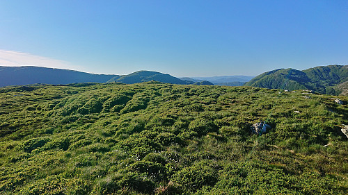 The summit area at Store Stuthaugen with Herlandsfjellet in the background