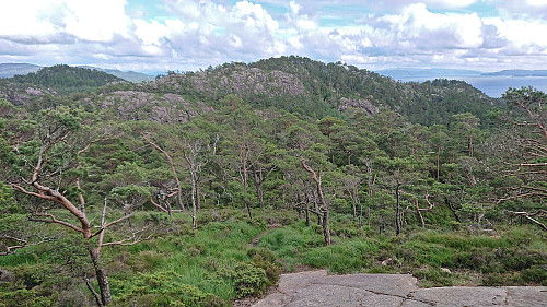 Kjetilsfjellet from the descent from Veten