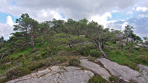 Approaching the summit of Kjetilsfjellet