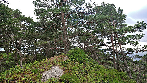 The summit of Kjetilsfjellet