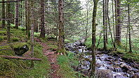 From the start of the trail