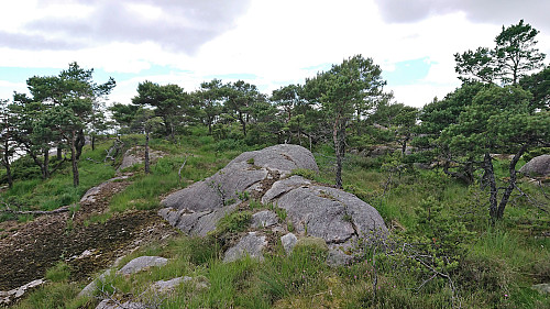 Trig marker at Tverrfjellet