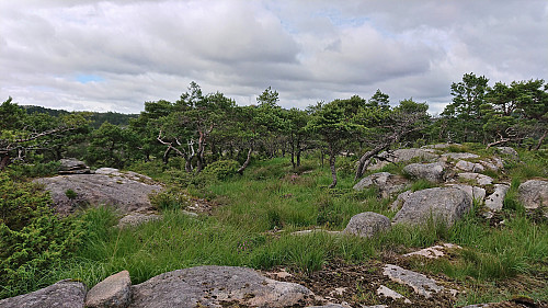The summit of Tverrfjellet with the antenna at Lyseskarfjellet in the background
