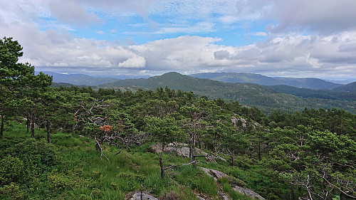 Storakvitefjellet from Tverrfjellet