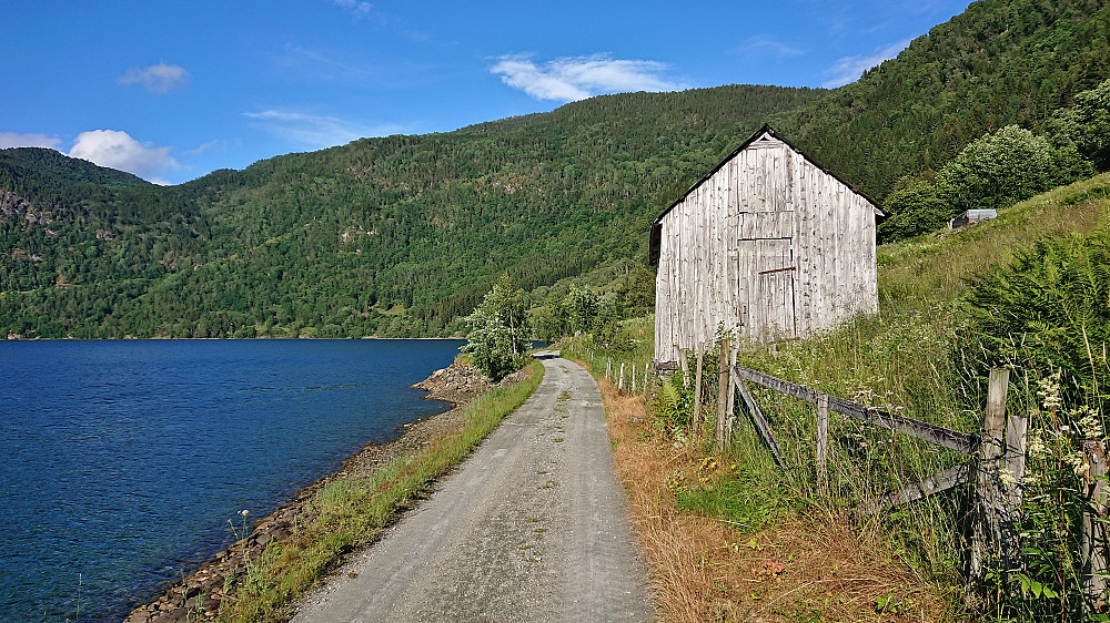 The gravel road on the south side of Barsnesfjorden