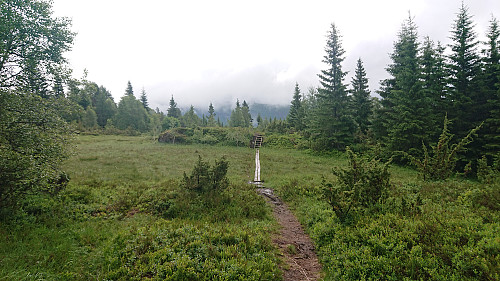 Approaching the cabin
