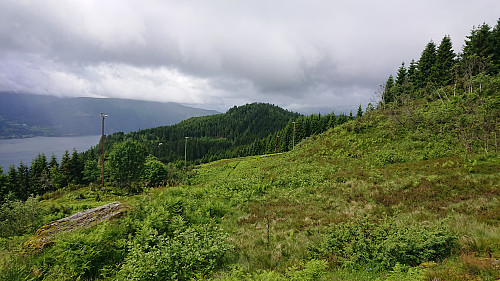 Towards Høgehaug from the descent