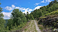 The tractor road at Barsnesfjellet