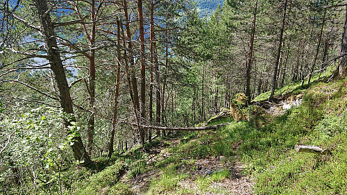 Steep descent south of Heggerusti