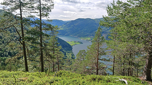 Barsnes from the descent south of Heggerusti