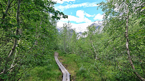The well maintained trail to Bergsetbreen