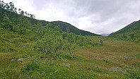 The wet area east of Skredfjellet